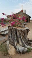 20140917_163830 &ndash; &copy; Doreen Päßler (Eberhardt TRAVEL)