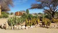 20140918_154719 &ndash; &copy; Doreen Päßler (Eberhardt TRAVEL)