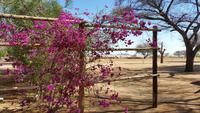 20140918_154804 &ndash; &copy; Doreen Päßler (Eberhardt TRAVEL)