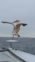 20140921_085600 &ndash; &copy; Doreen Päßler (Eberhardt TRAVEL)
