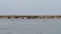 20140921_103912 &ndash; &copy; Doreen Päßler (Eberhardt TRAVEL)