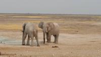 20140922_180000 &ndash; &copy; Doreen Päßler (Eberhardt TRAVEL)