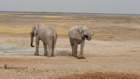 20140922_180138 &ndash; &copy; Doreen Päßler (Eberhardt TRAVEL)