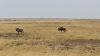 20140923_085526 &ndash; &copy; Doreen Päßler (Eberhardt TRAVEL)