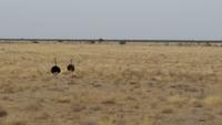 20140923_120622 &ndash; &copy; Doreen Päßler (Eberhardt TRAVEL)