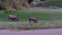 20140924_182509 &ndash; &copy; Doreen Päßler (Eberhardt TRAVEL)