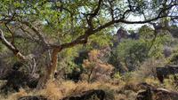 20140925_095114 &ndash; &copy; Doreen Päßler (Eberhardt TRAVEL)