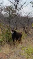 20140925_171607 &ndash; &copy; Doreen Päßler (Eberhardt TRAVEL)