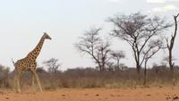 20140925_172639 &ndash; &copy; Doreen Päßler (Eberhardt TRAVEL)