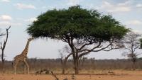 20140925_172830 &ndash; &copy; Doreen Päßler (Eberhardt TRAVEL)