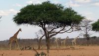 20140925_173444 &ndash; &copy; Doreen Päßler (Eberhardt TRAVEL)