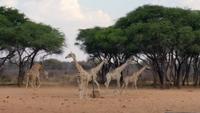 20140925_173616 &ndash; &copy; Doreen Päßler (Eberhardt TRAVEL)