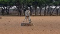 20140925_173844 &ndash; &copy; Doreen Päßler (Eberhardt TRAVEL)