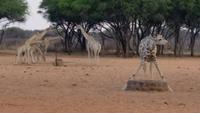 20140925_173906 &ndash; &copy; Doreen Päßler (Eberhardt TRAVEL)
