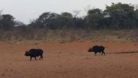 20140925_180934 &ndash; &copy; Doreen Päßler (Eberhardt TRAVEL)