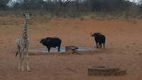 20140925_181010 &ndash; &copy; Doreen Päßler (Eberhardt TRAVEL)