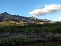 Oudtshoorn