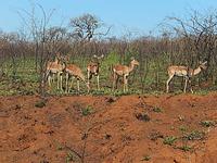 DSCN2931 &ndash; &copy; Kathrin Mickan (Eberhardt TRAVEL)