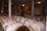 Weingut Dornier &ndash; &copy; Kathrin Mickan (Eberhardt TRAVEL)