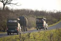 Umfolozi NP &ndash; &copy; Kathrin Mickan (Eberhardt TRAVEL)
