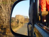 Umfolozi NP &ndash; &copy; Kathrin Mickan (Eberhardt TRAVEL)
