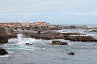 Robbeninsel &ndash; &copy; Astrid Kunath (Eberhardt TRAVEL)