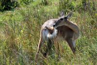Cape Vidal &ndash; &copy; Astrid Kunath (Eberhardt TRAVEL)