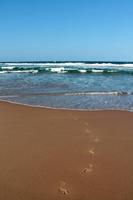 Cape Vidal &ndash; &copy; Astrid Kunath (Eberhardt TRAVEL)
