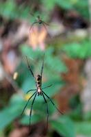Swaziland &ndash; &copy; Astrid Kunath (Eberhardt TRAVEL)