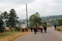 Swaziland &ndash; &copy; Astrid Kunath (Eberhardt TRAVEL)