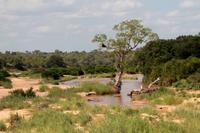 Krüger-Nationalpark &ndash; &copy; Astrid Kunath (Eberhardt TRAVEL)