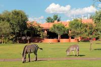 Unsere Hotelanlage in Sambia: Zambezi Sun &ndash; &copy; Astrid Kunath (Eberhardt TRAVEL)