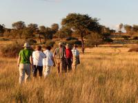 03_ZÜ Camelthorn Lodge (4) &ndash; &copy; Isabel Schirmer (Eberhardt TRAVEL)