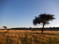 03_ZÜ Camelthorn Lodge (5) &ndash; &copy; Isabel Schirmer (Eberhardt TRAVEL)