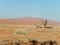 05_Namib Naukluft Nationalpark (22) &ndash; &copy; Isabel Schirmer (Eberhardt TRAVEL)
