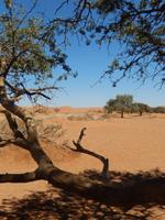 05_Namib Naukluft Nationalpark (27) &ndash; &copy; Isabel Schirmer (Eberhardt TRAVEL)