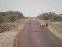 10_Etopha Nationalpark (3) &ndash; &copy; Isabel Schirmer (Eberhardt TRAVEL)