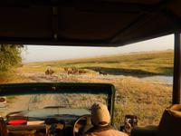 17_Botswana Chobe Nationalpark (4) &ndash; &copy; Isabel Schirmer (Eberhardt TRAVEL)