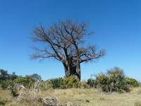 Kleine Wanderung &ndash; &copy; Anne Sturm (Eberhardt TRAVEL)