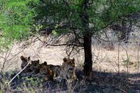 Diese sind noch unschlüssig &ndash; &copy; Annett Müller (Eberhardt TRAVEL)