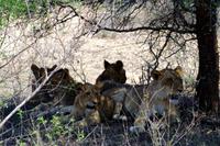 IMGP2414 &ndash; &copy; Annett Müller (Eberhardt TRAVEL)