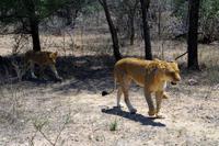 IMGP2418 &ndash; &copy; Annett Müller (Eberhardt TRAVEL)