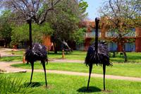 Sambezi Sun Resort  &ndash; &copy; Annett Müller (Eberhardt TRAVEL)