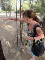 Singlereise Namibia &ndash; &copy; Franziska Bergmann (Eberhardt TRAVEL)