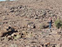 Singlereise Namibia – Fish River Canyon &ndash; &copy; Franziska Bergmann (Eberhardt TRAVEL)
