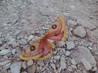 Singlereise Namibia – Buntes am Fish River Canyon &ndash; &copy; Franziska Bergmann (Eberhardt TRAVEL)