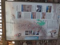 Singlereise Namibia – Fish River Canyon &ndash; &copy; Franziska Bergmann (Eberhardt TRAVEL)