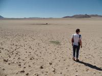 Singlereise Namibia – Garub-Wasserloch für Wildpferde &ndash; &copy; Franziska Bergmann (Eberhardt TRAVEL)