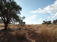 Singlereise Namibia – Sundowner in der Namib &ndash; &copy; Franziska Bergmann (Eberhardt TRAVEL)