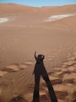 Singlereise Namibia – Sanddüne Big Daddy &ndash; &copy; Franziska Bergmann (Eberhardt TRAVEL)